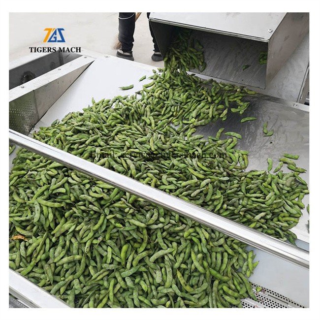 Commercial Bean destone separating and sieving machine
