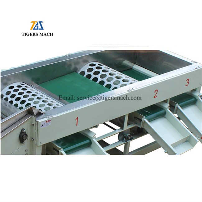 Potato Size Grader Machine