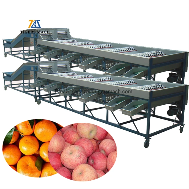 Potato Size Grader